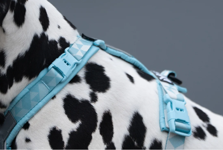 Non-stop Trekking line harness CLIPN™  - Sand - 3