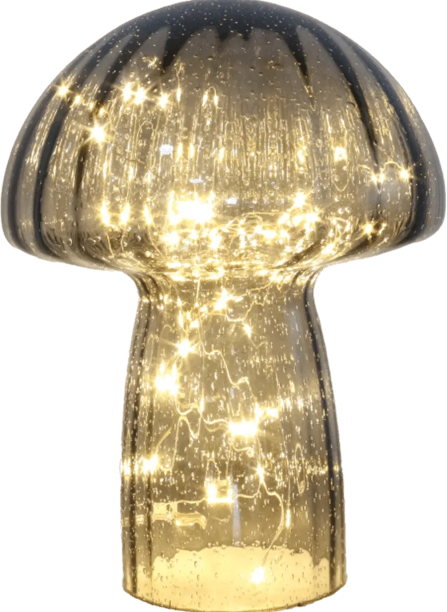 Bordslampa Svamp Glas Grafitgrå - Timer/Dimmer - 23x18 cm - 2