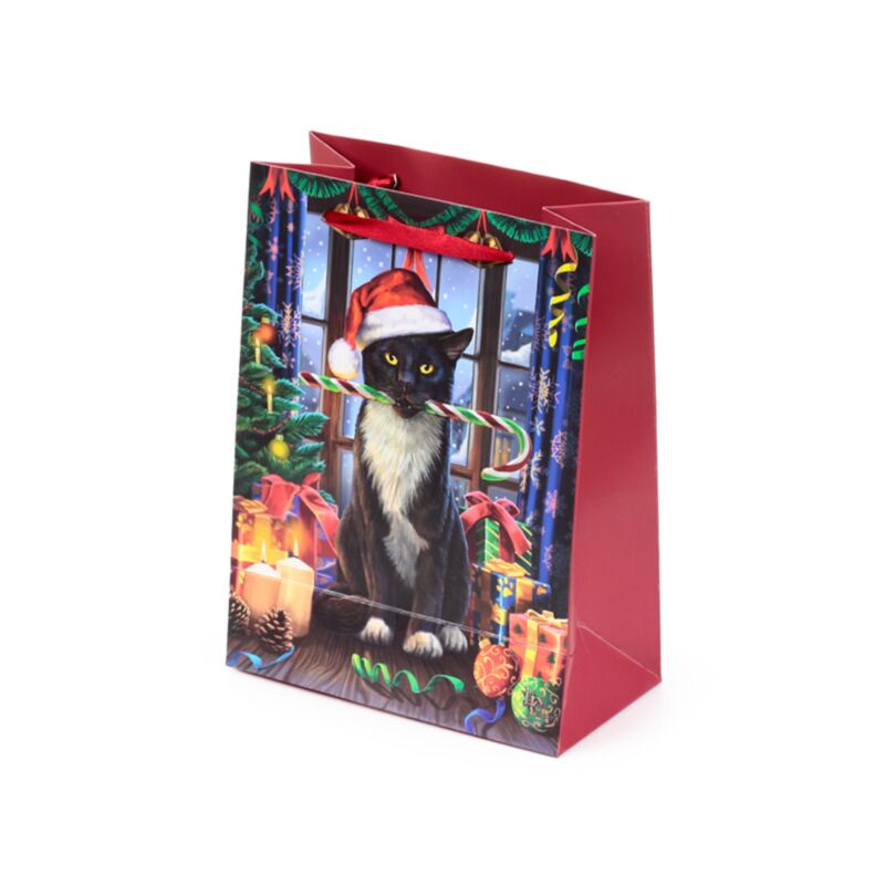 Presentpåse Jul - Katt - 3