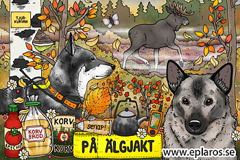 Vykort 10x15 cm På älgjakt