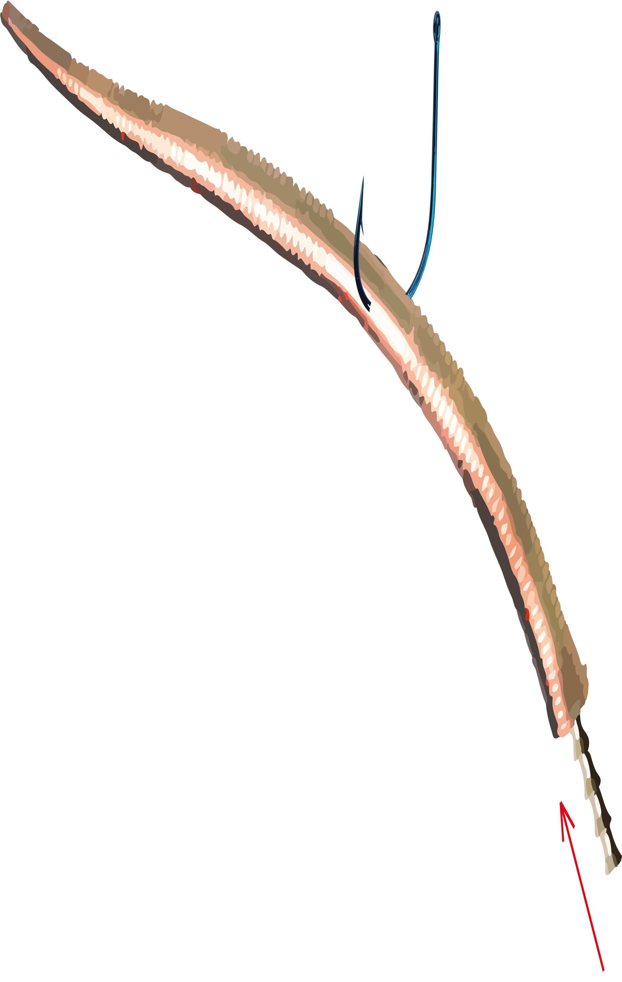 Darts - WEIGHT SPIKE - TUNGSTEN 2,2g - 11
