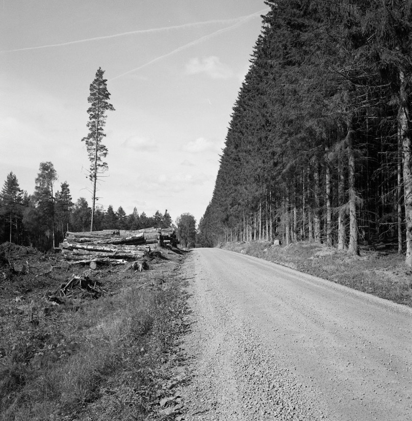 Gerry Johansson - Småland - 8