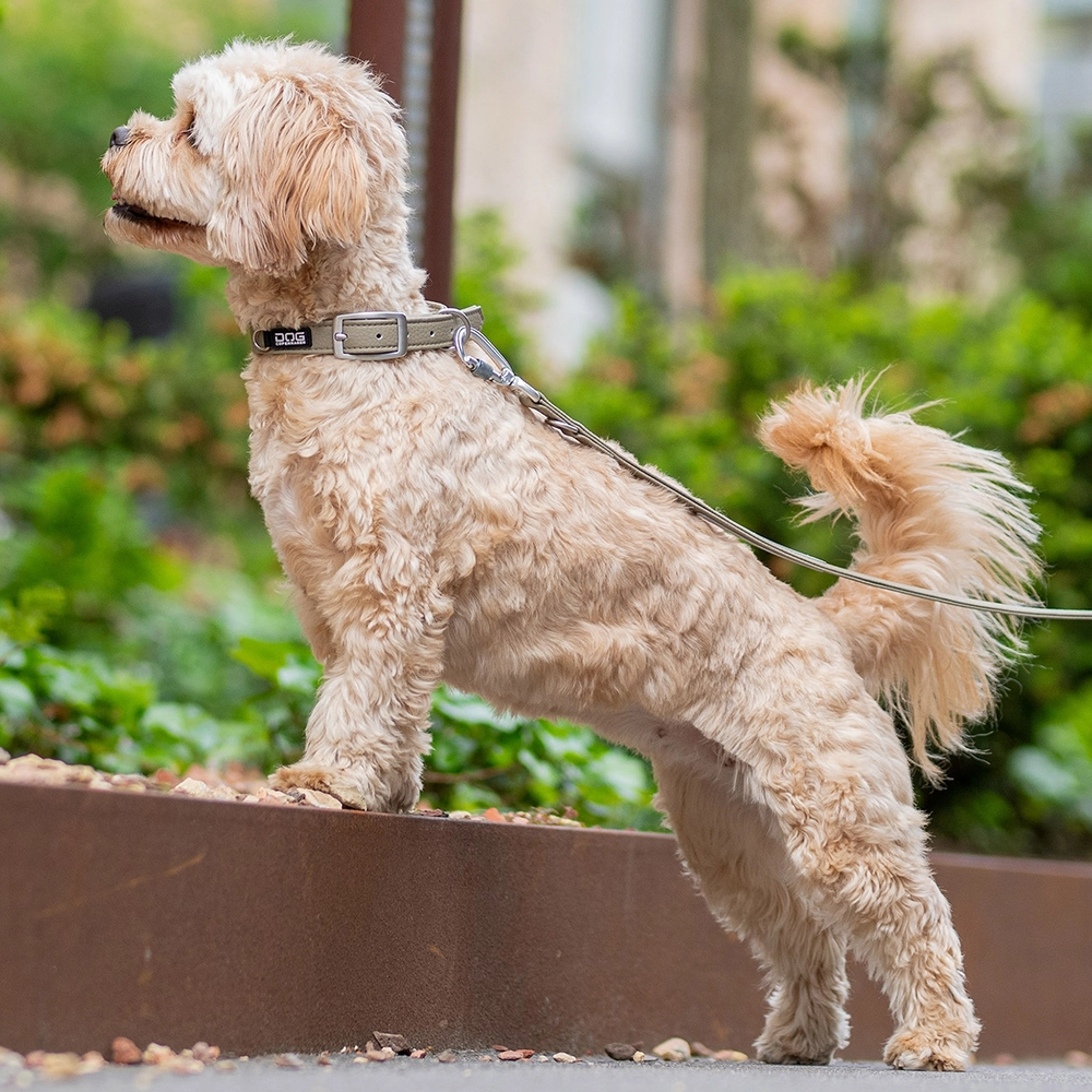 DOG Copenhagen Urban classic halsband - 4