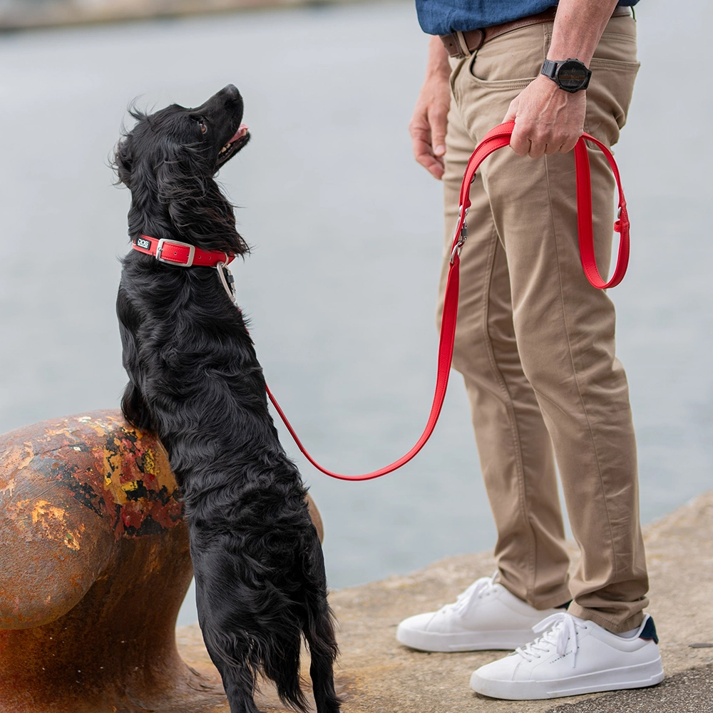 DOG Copenhagen Urban classic halsband - 6