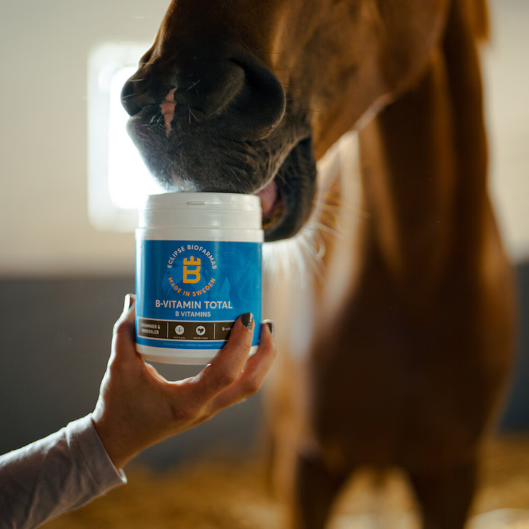 ECLIPSE BIOFARMAB B-VITAMIN TOTAL  - 3