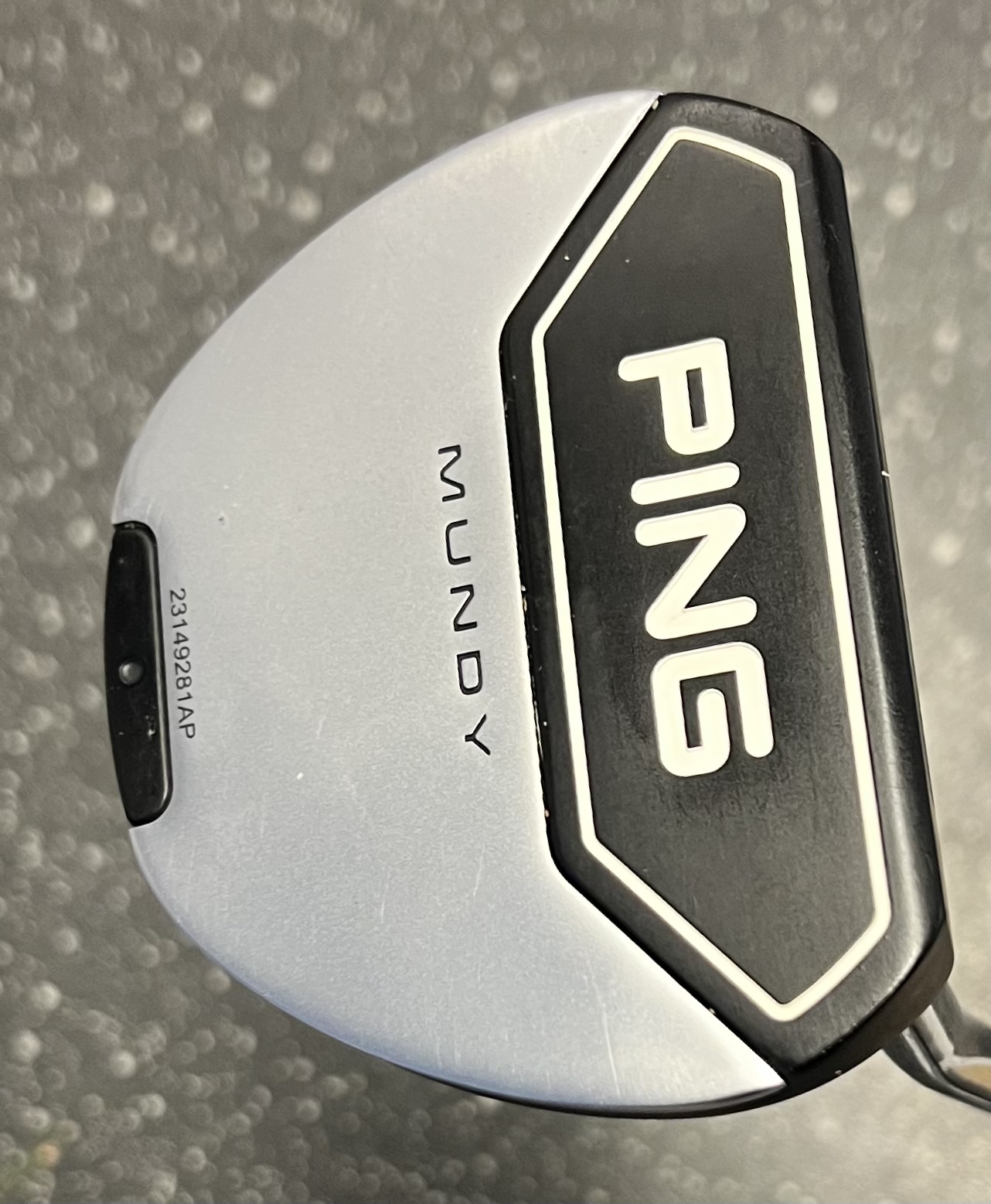 Ping Mundy - 4