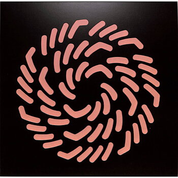 SERA J & ANNE - SYMBIOSIS III / Mutual Rytm