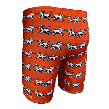 Men's Summertime Orange Jammer Swim Trunks - Lane 4