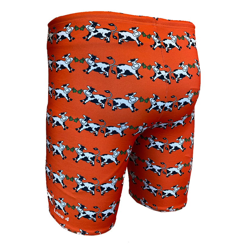 Boys' Summertime Orange Leg Jammer Swim Trunks - Lane 4 - 2