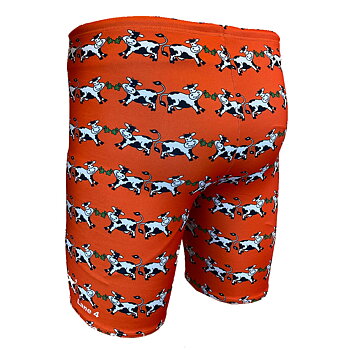 Boys' Summertime Orange Leg Jammer Swim Trunks - Lane 4