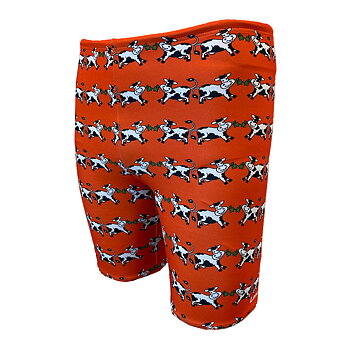 Boys' Summertime Orange Leg Jammer Swim Trunks - Lane 4