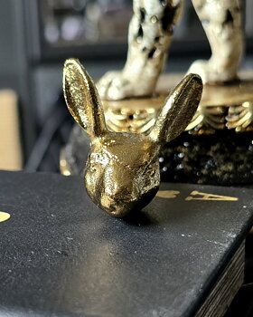 Knopp - Rabbit Gold