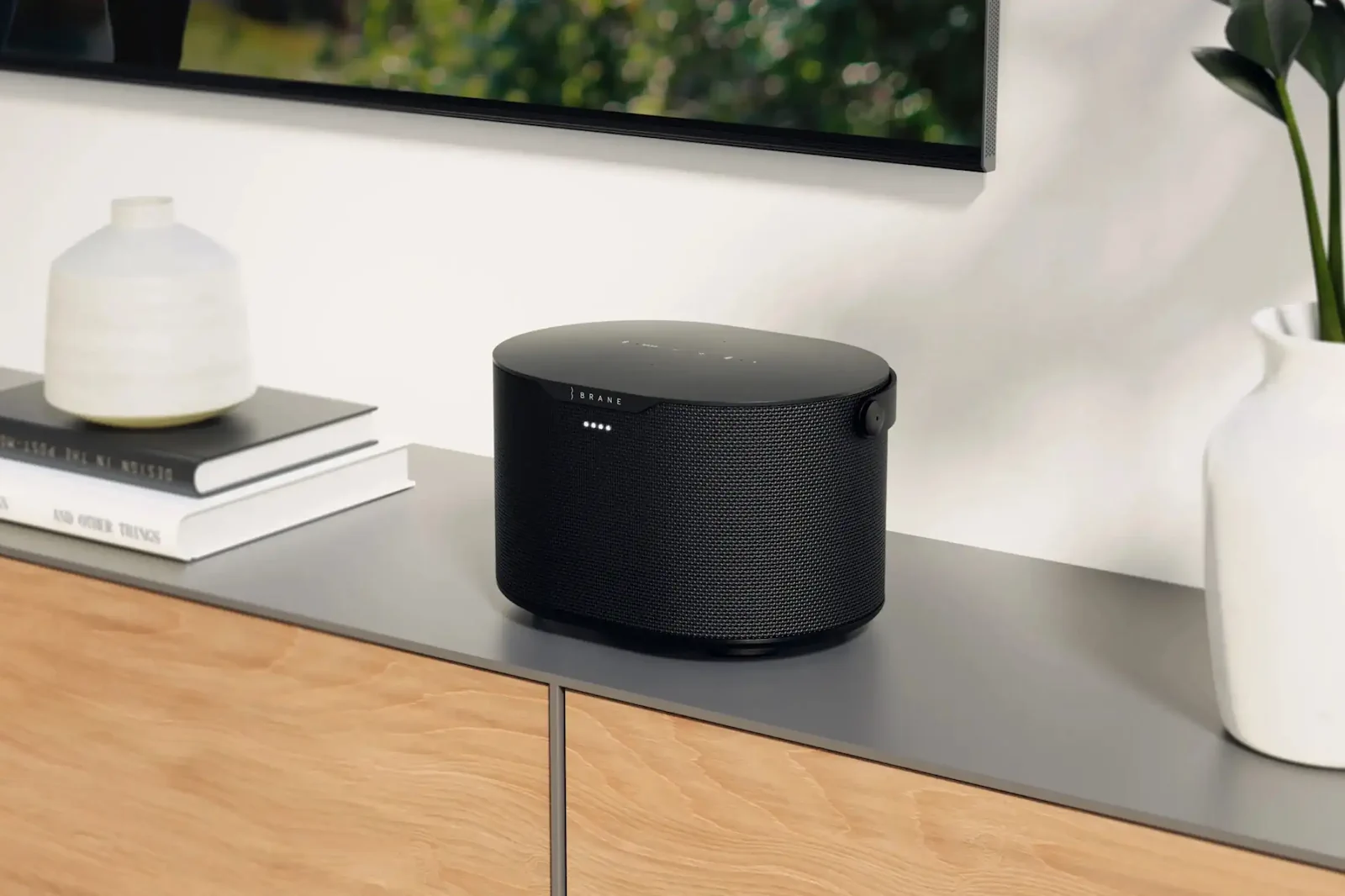 Brane Audio - Brane X -Streaminghögtalare