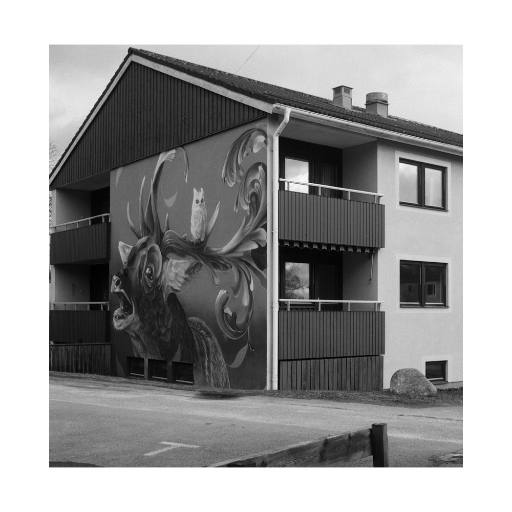 Gerry Johansson: Småland [signed] - 11