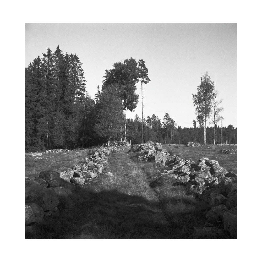 Gerry Johansson: Småland [signed] - 2