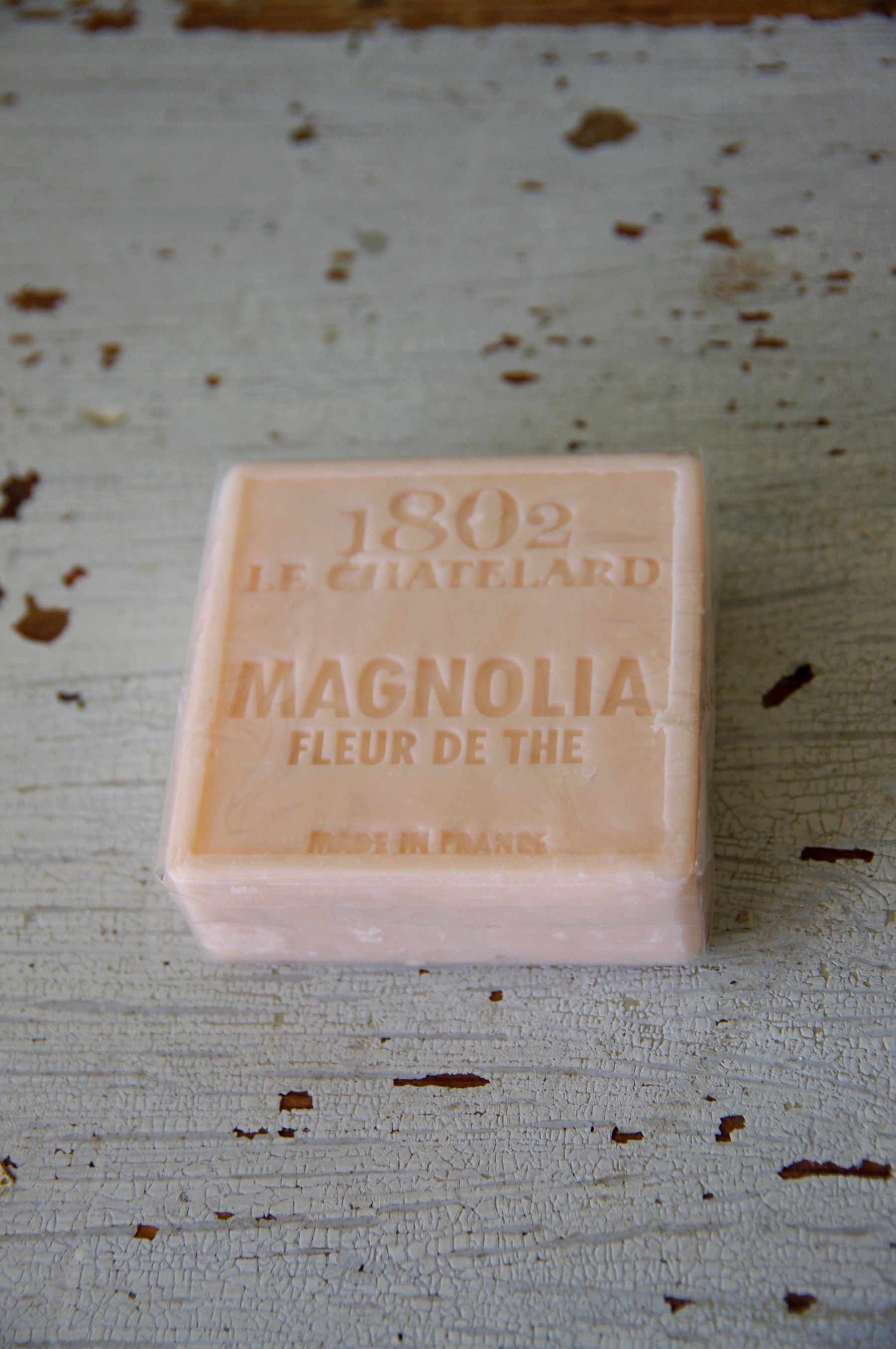 Magnolia Teblomma