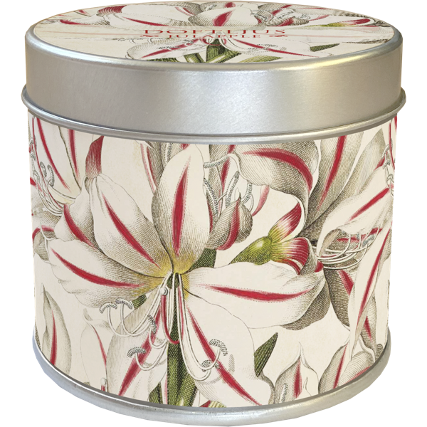 Scented Candle: Christmas Apple Amaryllis, 30 Hours, Sköna Ting