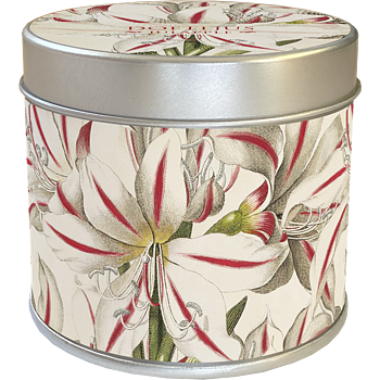 Scented Candle: Christmas Apple Amaryllis, 30 Hours, Sköna Ting