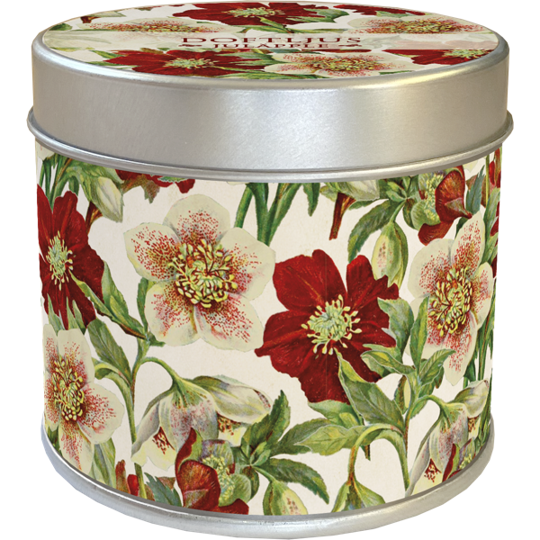 Scented Candle: Christmas Apple, Christmas Berry, 30 hours, Sköna Ting