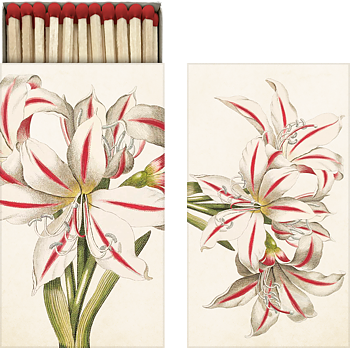 Tulitikkuaski Amaryllis Sköna Ting