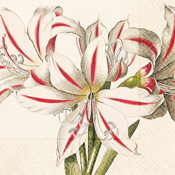 Frokostservietter Amaryllis  20 stk. Sköna Ting