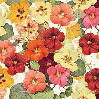 Frokostservietter »Sommarblom« 20 stk. Sköna Ting