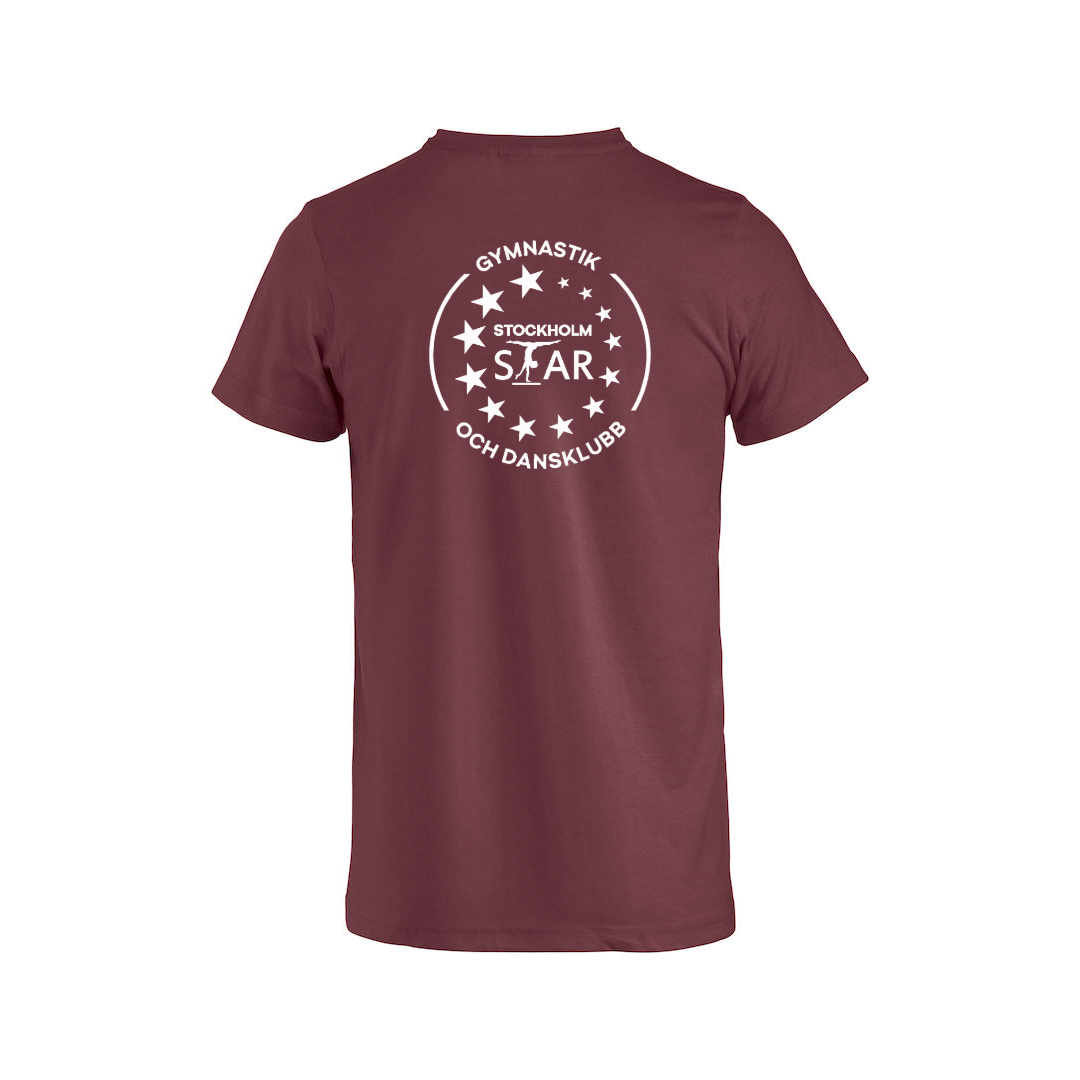  Basic-T unisex, Stockholm STAR i många olika färger - 10