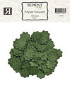 Pappersblommor 20 mm olive 100-p