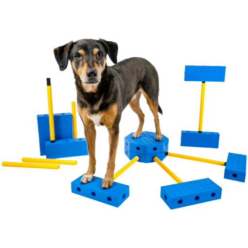 FitPAWS –  FitKinect  Core - 2