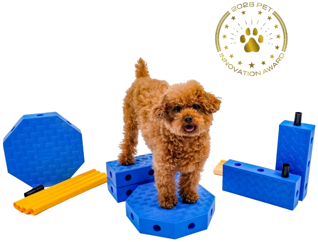 FitPAWS –  FitKinect  Core