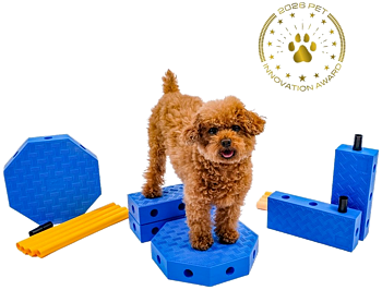 FitPAWS –  FitKinect  Core