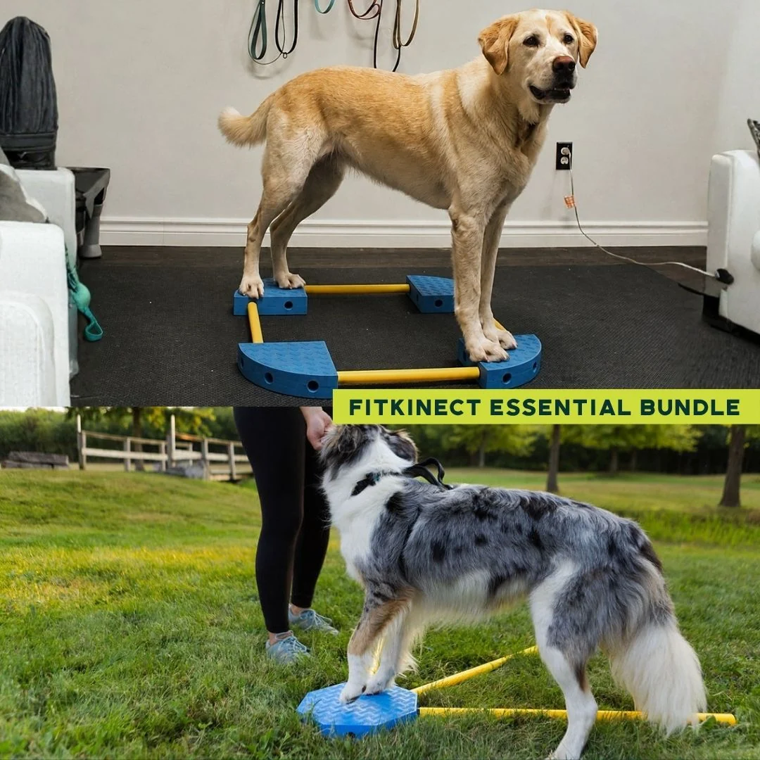 FitPAWS –  FitKinect  Core - 7