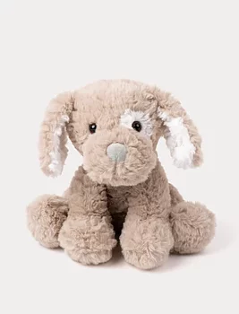 Hasse, Hund - Teddykompaniet
