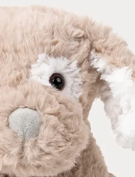 Hasse, Hund - Teddykompaniet