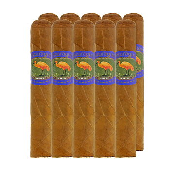 Ibis Nicaragua Connecticut Robusto