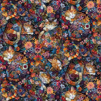 Calico Cat