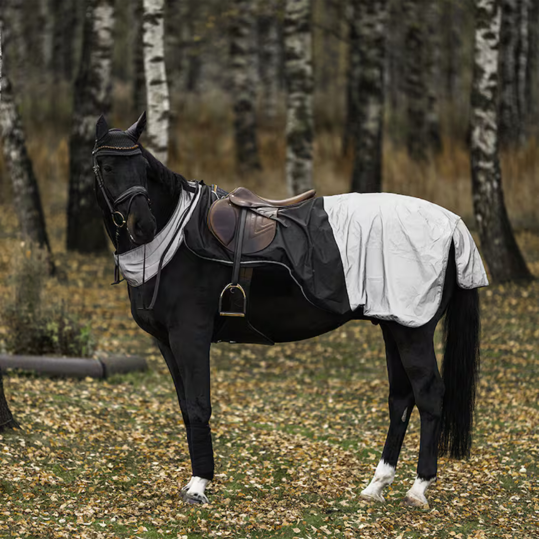 HANSBO SPORT BRILLIANCE RIDING BLANKET