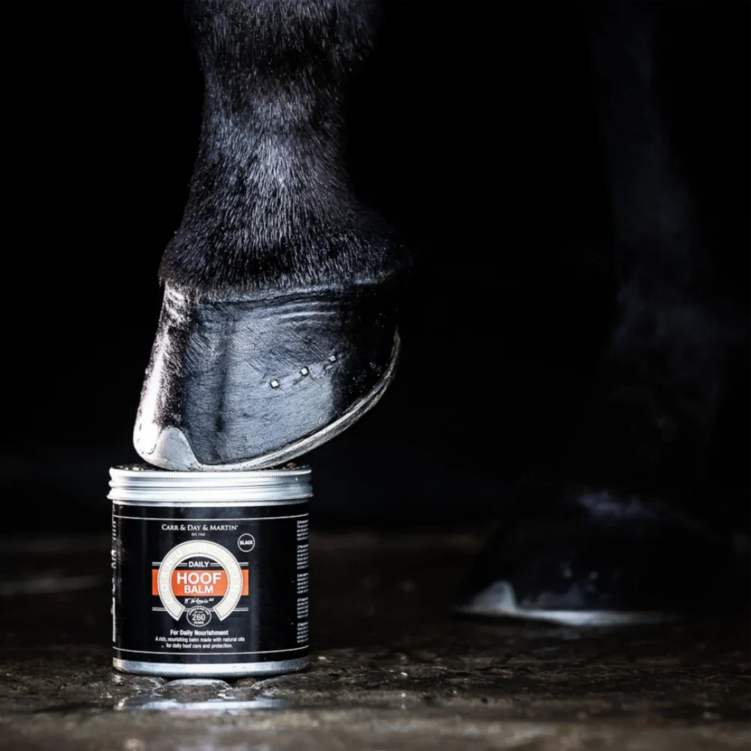 CARR & DAY & MARTIN CORNUCRESCINE BLACK HOOF BALM   - 3