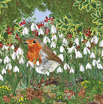Mig Wyeth : Robin's Garden - Kort med kuvert
