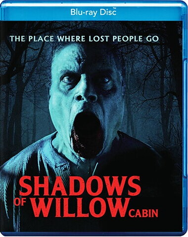 Shadows Of Willow Cabin (BLU-RAY)