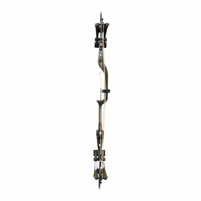  Bear Archery Compound Bow Whitetail INT  - 3