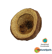 Ceramic Nature - Chapeuzinho Pods