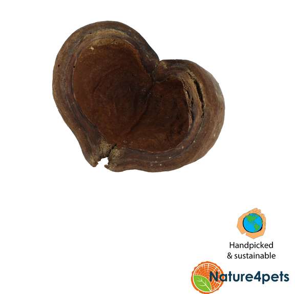 Ceramic Nature - Thelambu Pods 