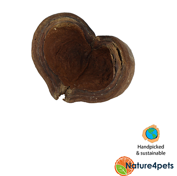 Ceramic Nature - Thelambu Pods 
