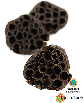 Ceramic Nature - Lotus pods 3st