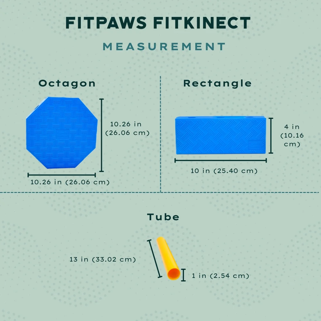 FitPAWS –  FitKinect Octagons Upgrade Kit - 3