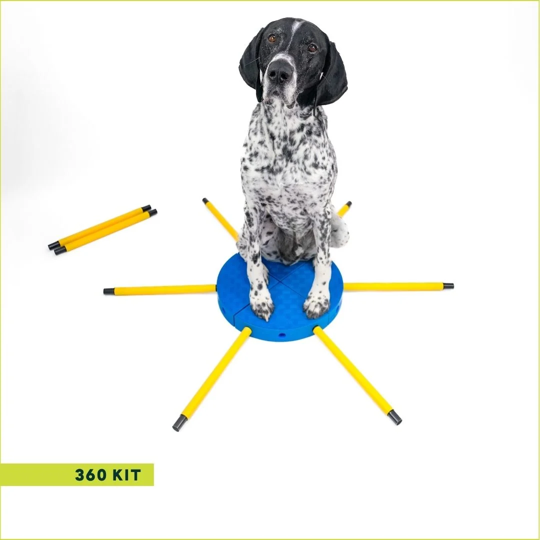 FitPAWS –  FitKinect  Xtra - 3