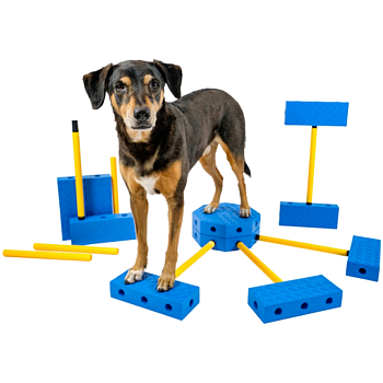 FitPAWS –  FitKinect  Xtra