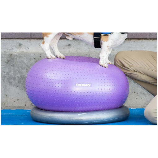 FitPAWS –  Trax Donut Purple - 3