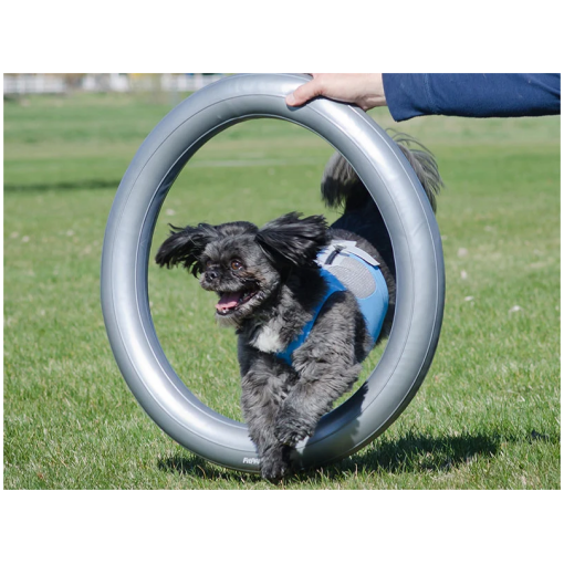 FitPAWS –  Circular Product Holder (Donut Holder) - 5